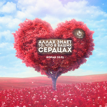 Аллах знает то, что в ваших сердцах